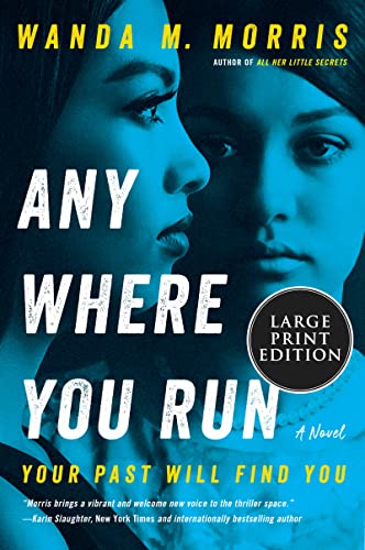 Book Anywhere You Run: A Novel free