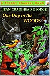 Book One Day in the Woods free
