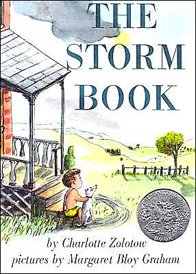 Book The Storm Book free