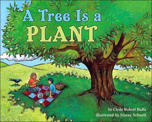 Book A Tree Is a Plant (Let's-Read-and-Find-Out Science) free