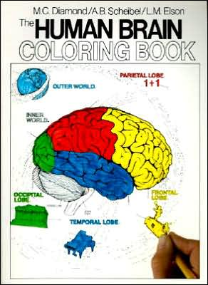 Book The Human Brain Coloring Book (Coloring Concepts) free Book The Human Brain Coloring Book (Coloring Concepts) free