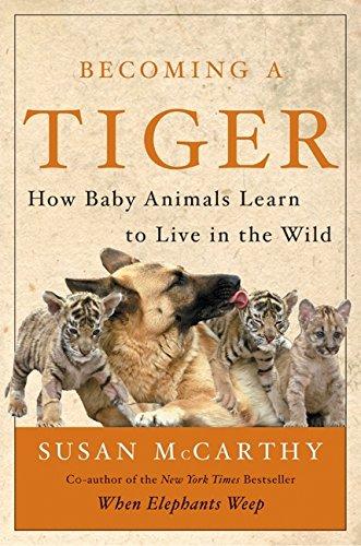 Book Becoming a Tiger: How Baby Animals Learn to Live in the Wild free