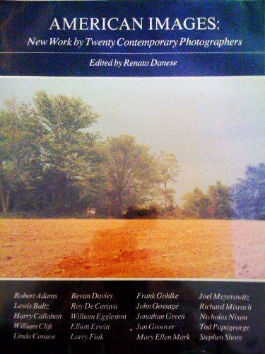 Book American Images: New Work by Twenty Contemporary Photographers free