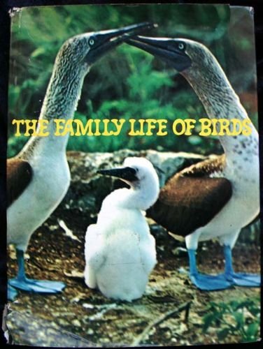 Book The Family Life of Birds free