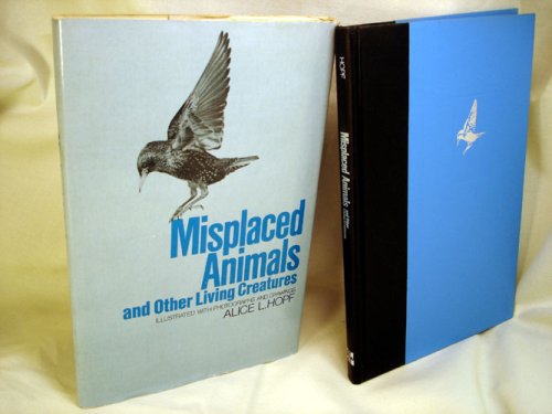 Book Misplaced Animals, And Other Living Creatures free
