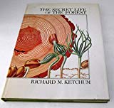 Book The secret life of the forest free