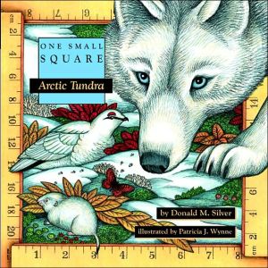 Book Arctic Tundra free