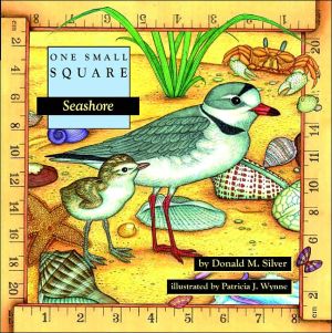Book Seashore (One Small Square) free