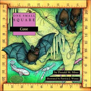 Book Cave free