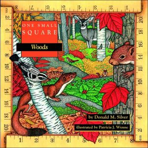Book One Small Square: Woods free