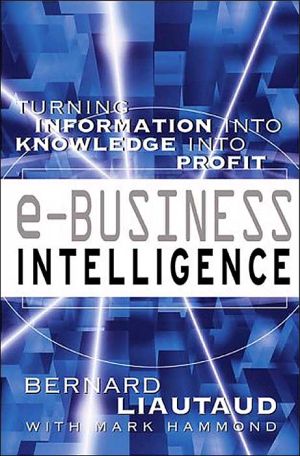 Book e-Business Intelligence: Turning Information into Knowledge into Profit free