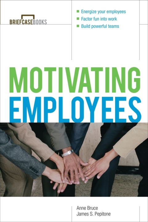 Book Motivating Employees free