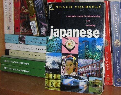 Book Teach Yourself Japanese (Teach Yourself¹complete Courses) free