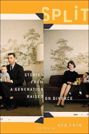 Book Split : Stories from a Generation Raised on Divorce free