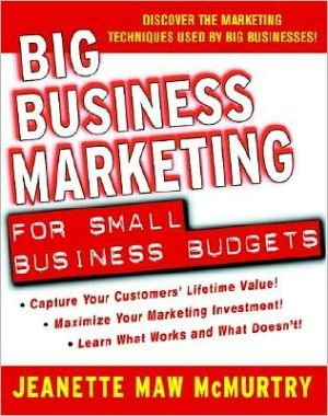 Book Big Business Marketing For Small Business Budgets free