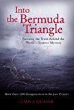 Book Into the Bermuda Triangle : Pursuing the Truth Behind the World's Greatest Mystery free