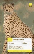 Book Teach Yourself Excel 2003 free