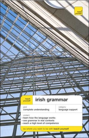 Book Teach Yourself Irish Grammar (TY: Language Guides) free