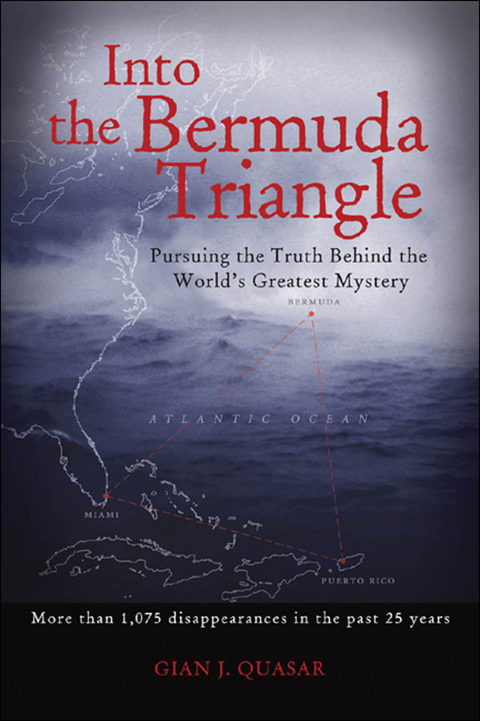 Book Into the Bermuda Triangle: Pursuing the Truth Behind the World's Greatest Mystery free