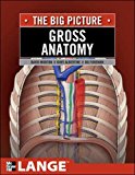 Book Gross Anatomy: The Big Picture (LANGE The Big Picture) free