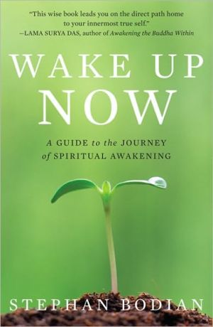 Book Wake Up Now: A Guide to the Journey of Spiritual Awakening free