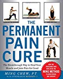 Book The Permanent Pain Cure free