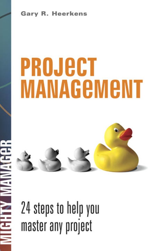 Book Project Management (Mighty Managers Series) free