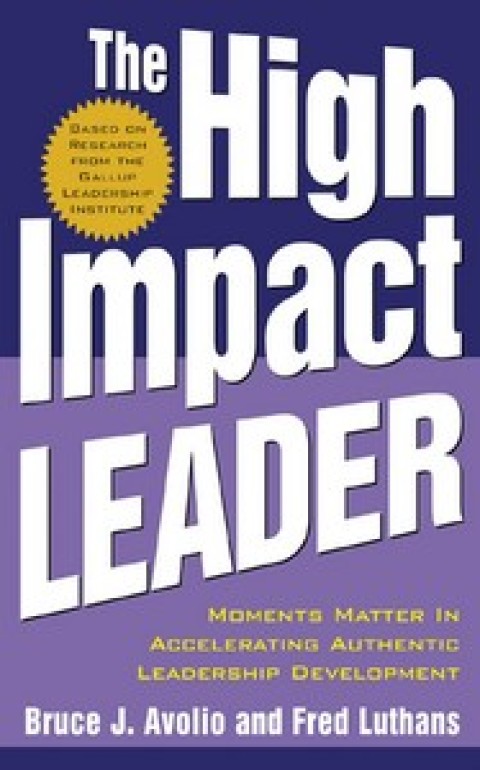 Book The High Impact Leader free