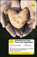 Book Teach Yourself Growing Your Own Fruits and Vegetables free