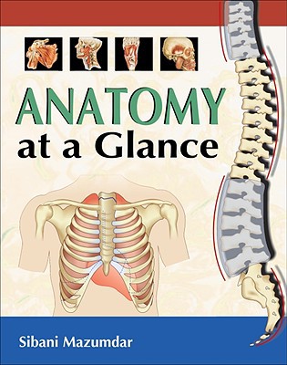Book Anatomy at a Glance free