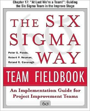 Book The Six Sigma Way Team Fieldbook, Chapter 17 - P[[[[ free