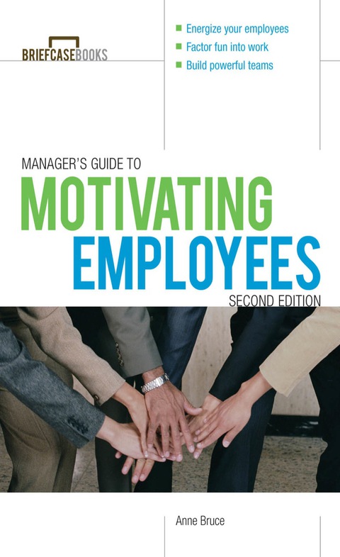 Book Manager's Guide to Motivating Employees 2/E (Briefcase Books Series) free