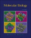Book Molecular Biology free