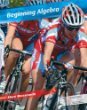 Book Beginning Algebra Annotated Instructor's Edition free