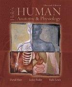 Book Hole's Human Anatomy And Physiology- 1 [hardcover] David N. Shier free