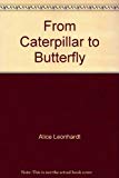 Book From Caterpillar To Butterfly free