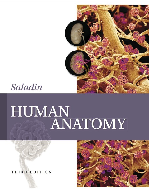 Book Human Anatomy free