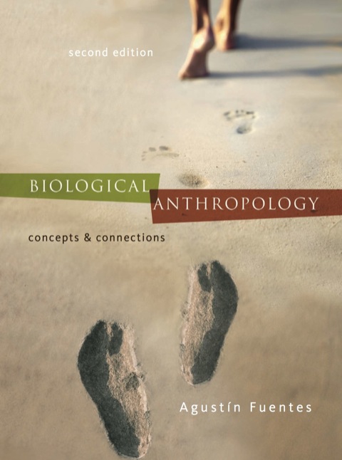Book Biological Anthropology:  Concepts and Connections free