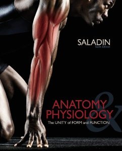 Book Anatomy & Physiology (Anatomy & Physiology The Unity of Form and Function) free