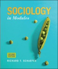 Book Sociology in Modules 2nd Second Edition free