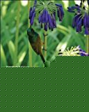 Book Ecology: Concepts and Applications free