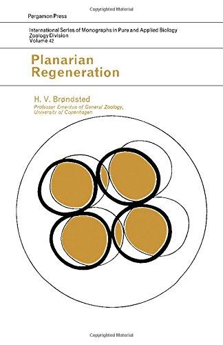 Book Planarian Regeneration (International Series of Monographs in Pure and Applied Biology) free
