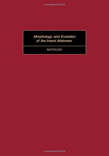 Book Morphology and evolution of the insect abdomen: With special reference to developmental patterns and their bearings upon systematics (Zoology division) free
