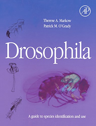 Book Drosophila: A Guide to Species Identification and Use free