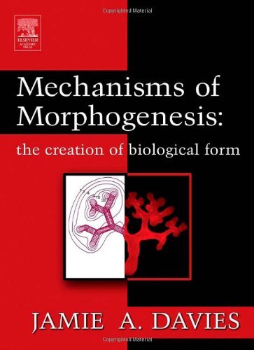Book Mechanisms of Morphogenesis free