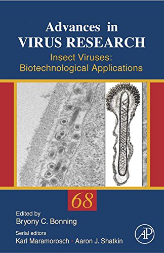 Book Insect Viruses: Biotechnological Applications (Advances in Virus Research Book 44) free