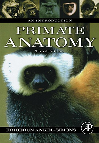 Book Primate Anatomy: An Introduction free
