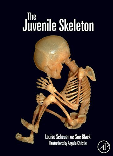 Book The Juvenile Skeleton free