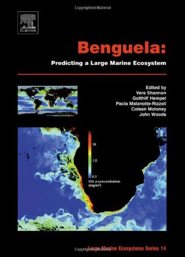 Book Benguela: Predicting a Large Marine Ecosystem (ISSN Book 14) free