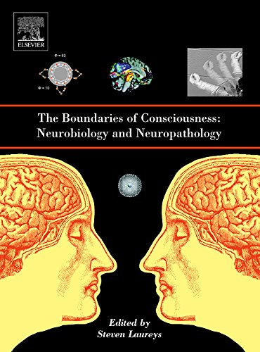 Book The Boundaries of Consciousness: Neurobiology and Neuropathology (Progress in Brain Research) free